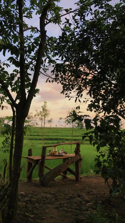 Tiara Homestay Plambi Exterior foto
